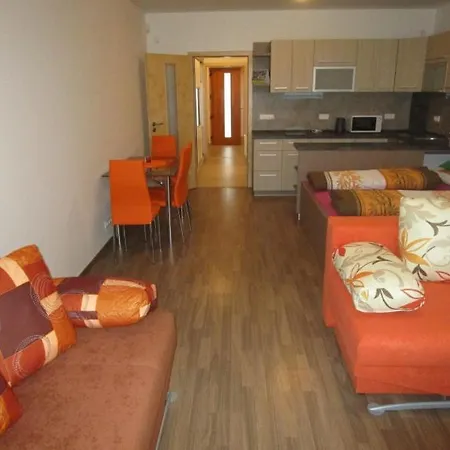 Apartment Ricky V Orlickych Horach