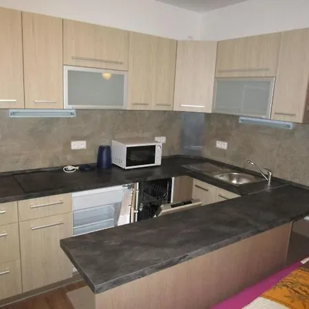 Apartament Ricky V Orlickych Horach *