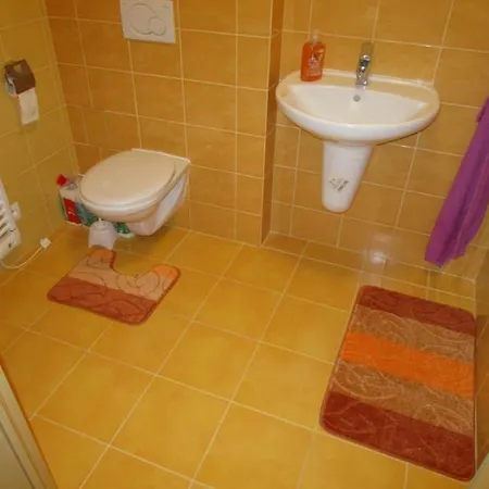 Apartment Ricky V Orlickych Horach Pustiny
