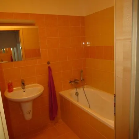 Apartment Ricky V Orlickych Horach