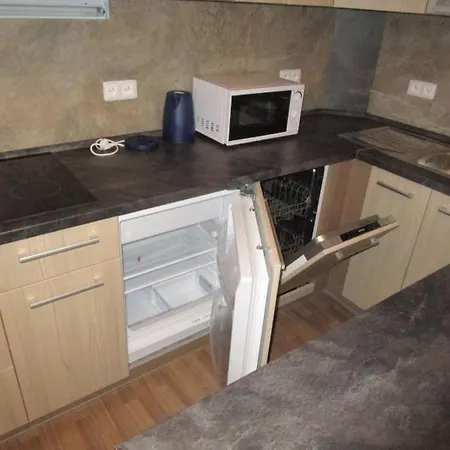 Ricky V Orlickych Horach Apartment *