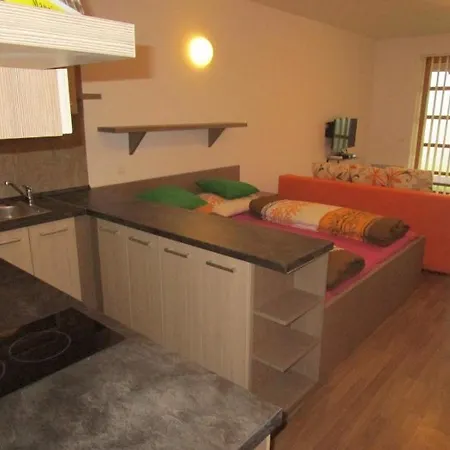 Ricky V Orlickych Horach Apartament *
