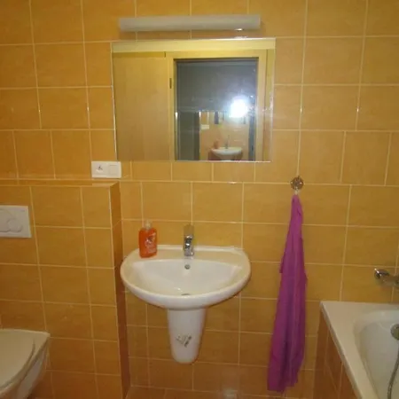 Apartment Ricky V Orlickych Horach