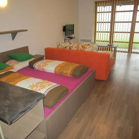 Apartment Ricky V Orlickych Horach Pustiny