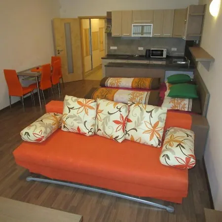 Ricky V Orlickych Horach Apartment